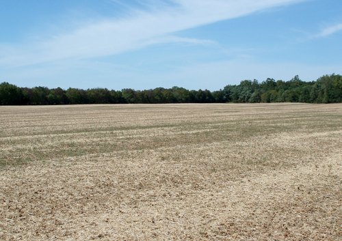 Property photo 1 - 98 +/- Acres Offered in 3 Tracts